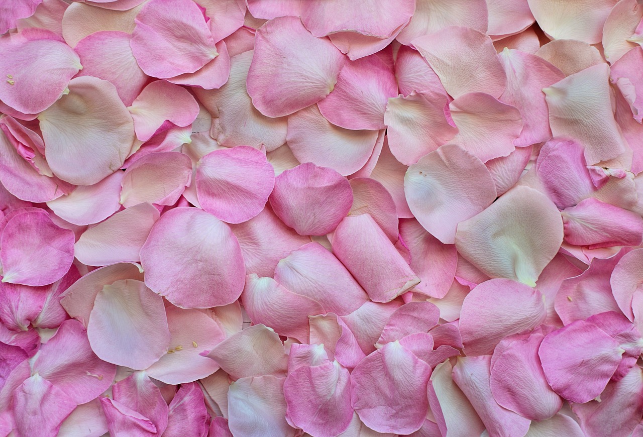 ¿Cómo simboliza la rosa encantada el amor romántico?