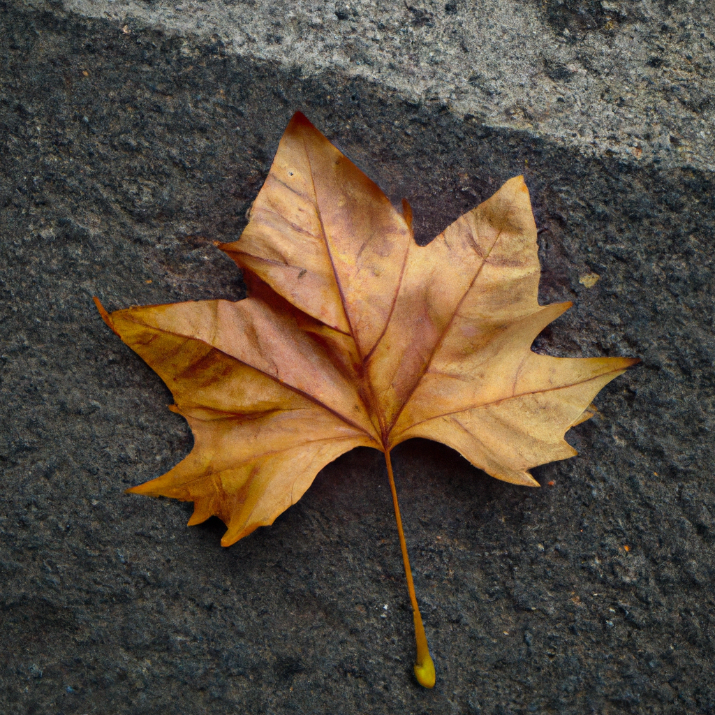 ¿Cuándo comienza el otoño 2018?