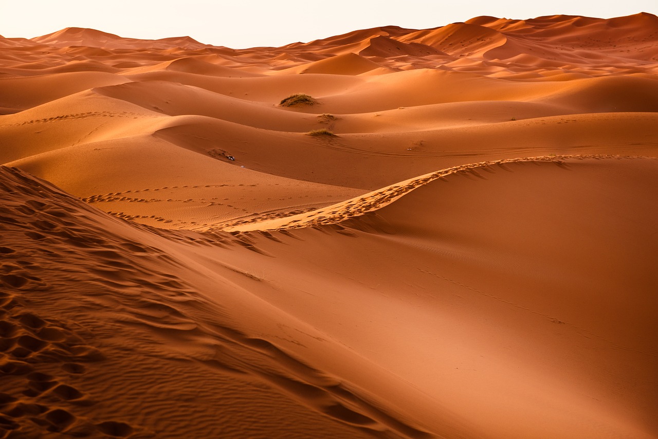 El Profundo Significado de la Mano del Desierto