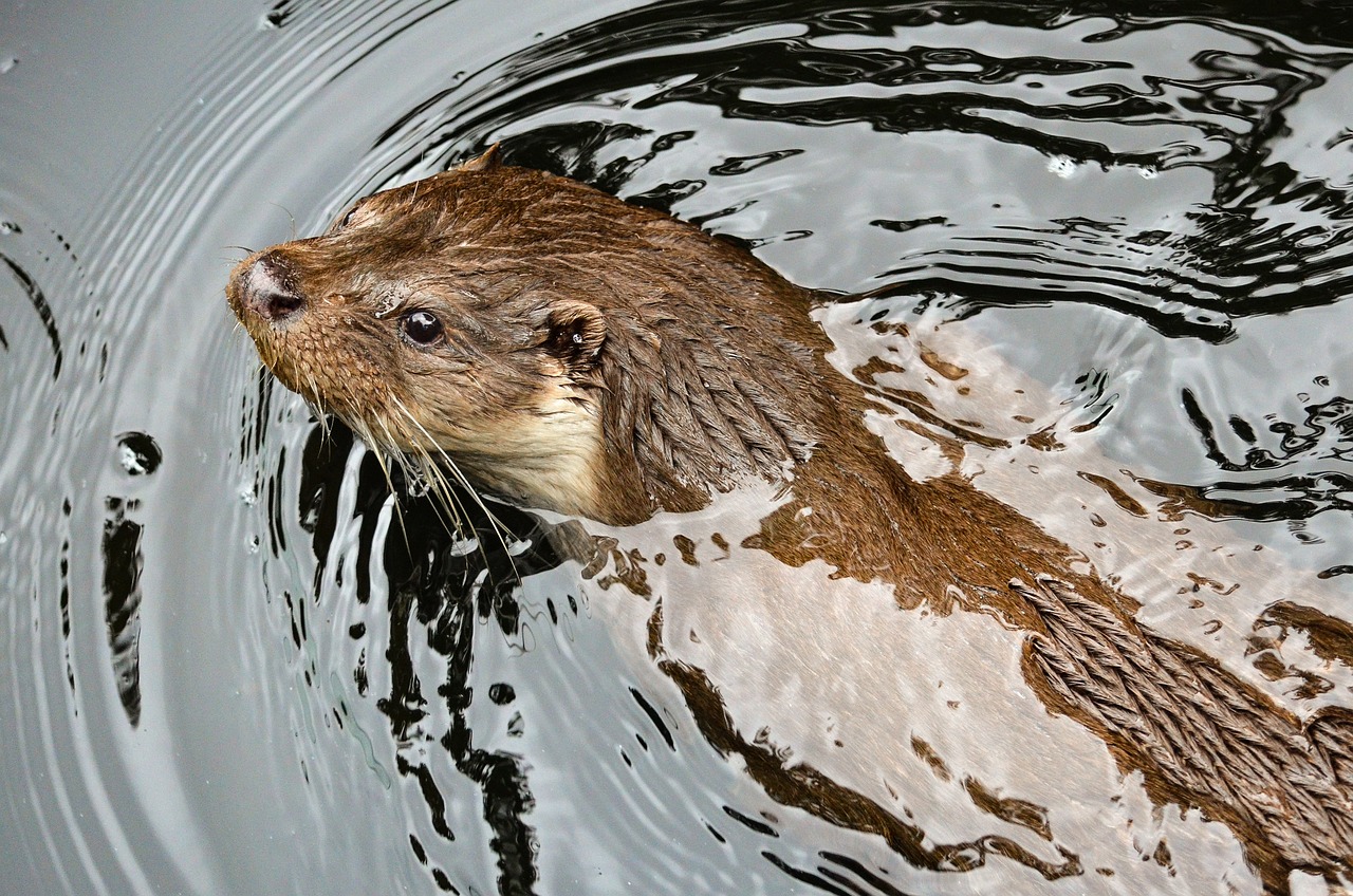 ¿Cómo se relacionan Marte y la Tierra?