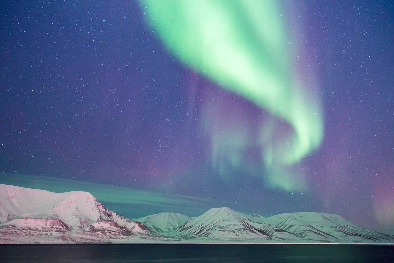 Descubriendo el Encanto de la Estrella Polar