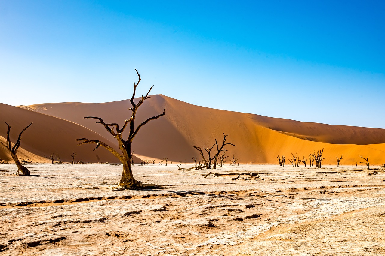 Los colonizadores de Namibia: ¿Quién fue el responsable?