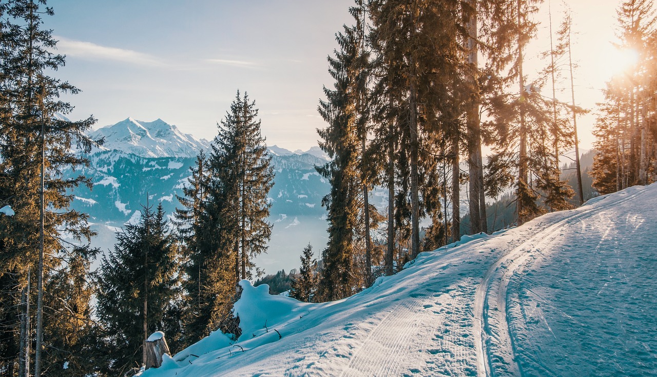 ¿Dónde practicar Ski en Granada?