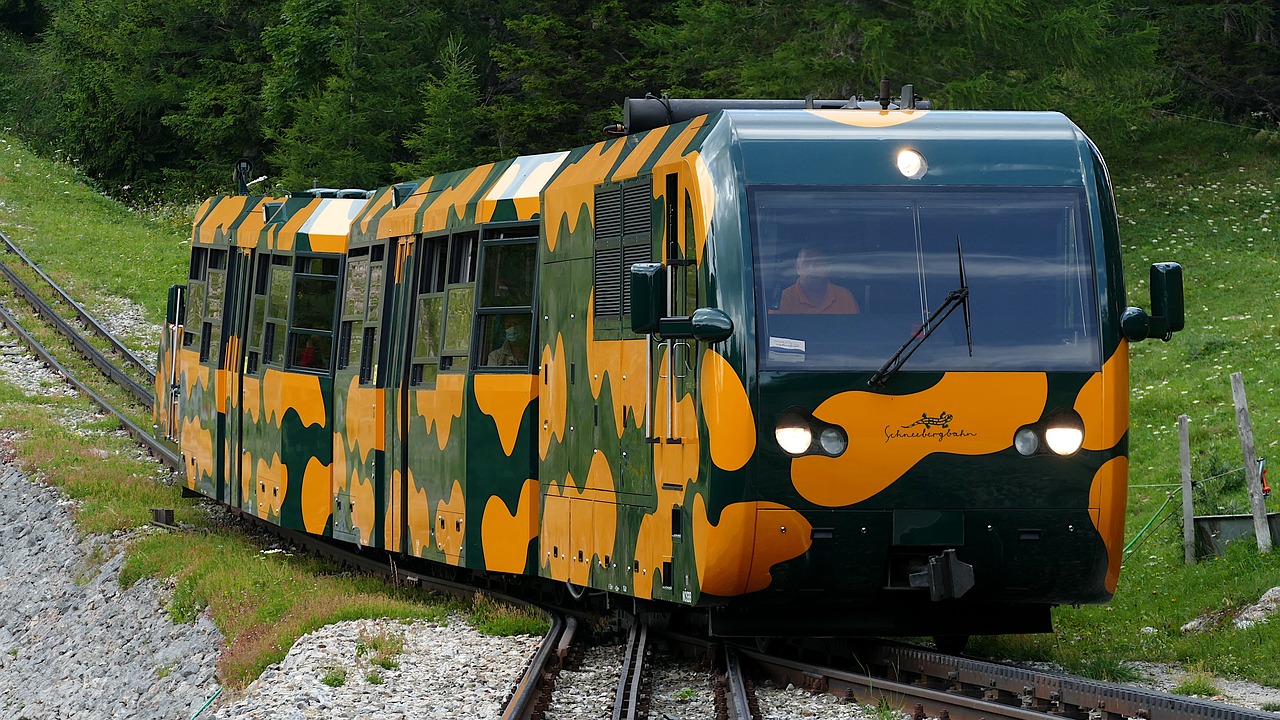 Descubriendo el funcionamiento de un tren cremallera