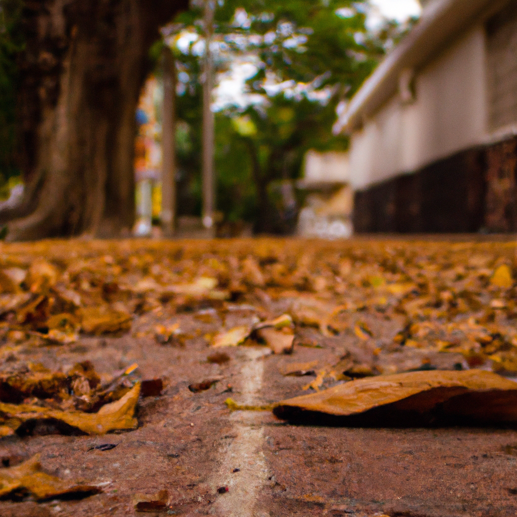 ¿Cuándo comienza el otoño de 2018?”