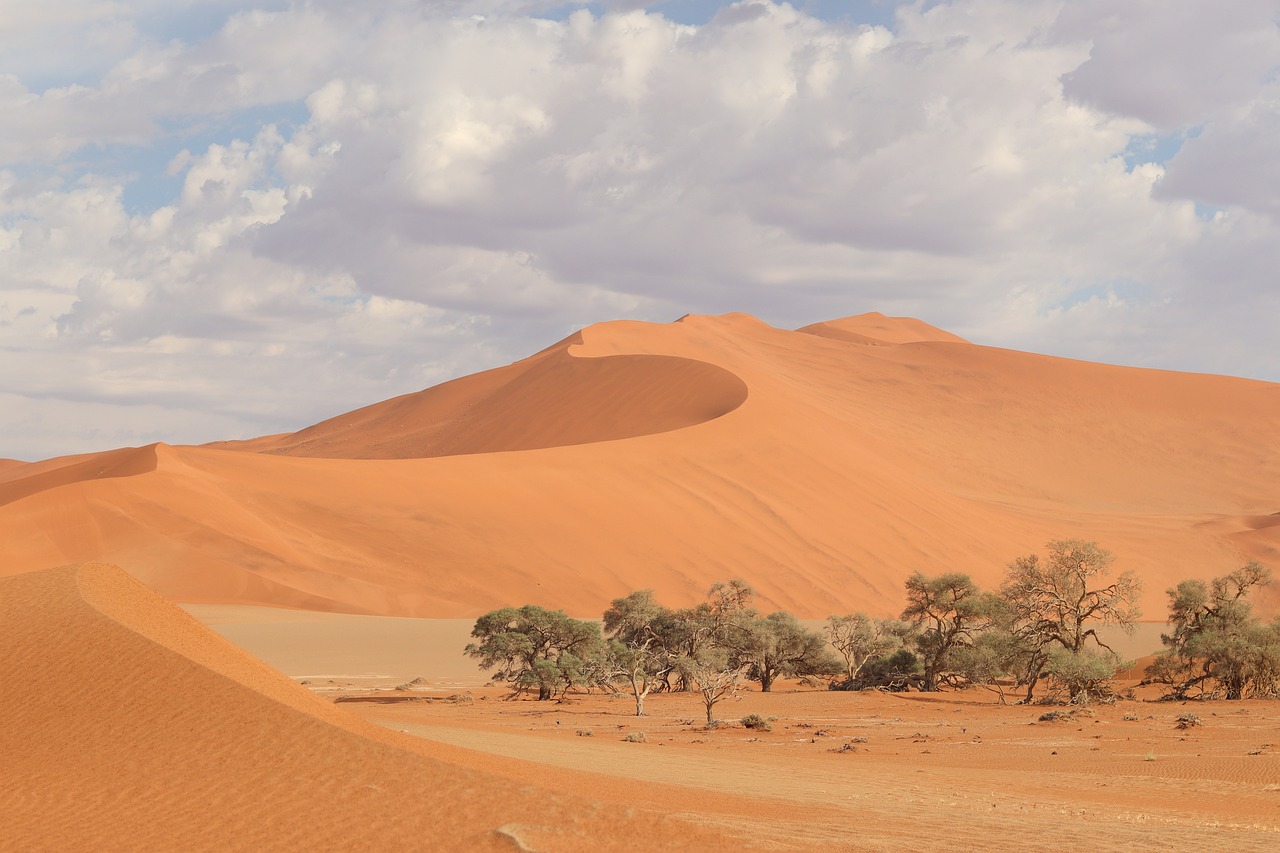 ¿Cuándo es la Mejor Época para Visitar Namibia?
