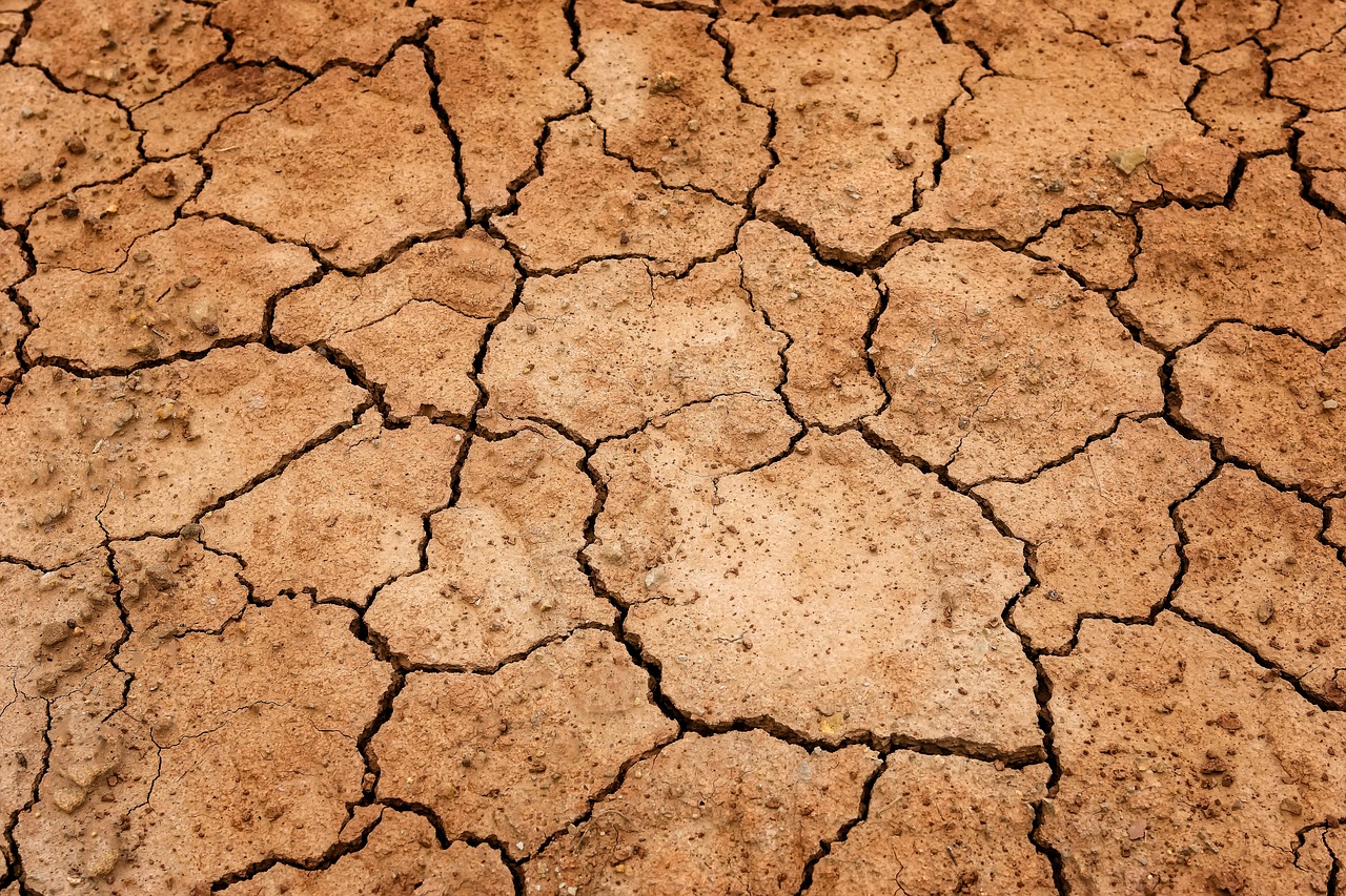 Los motivos de la Tierra: una mirada profunda