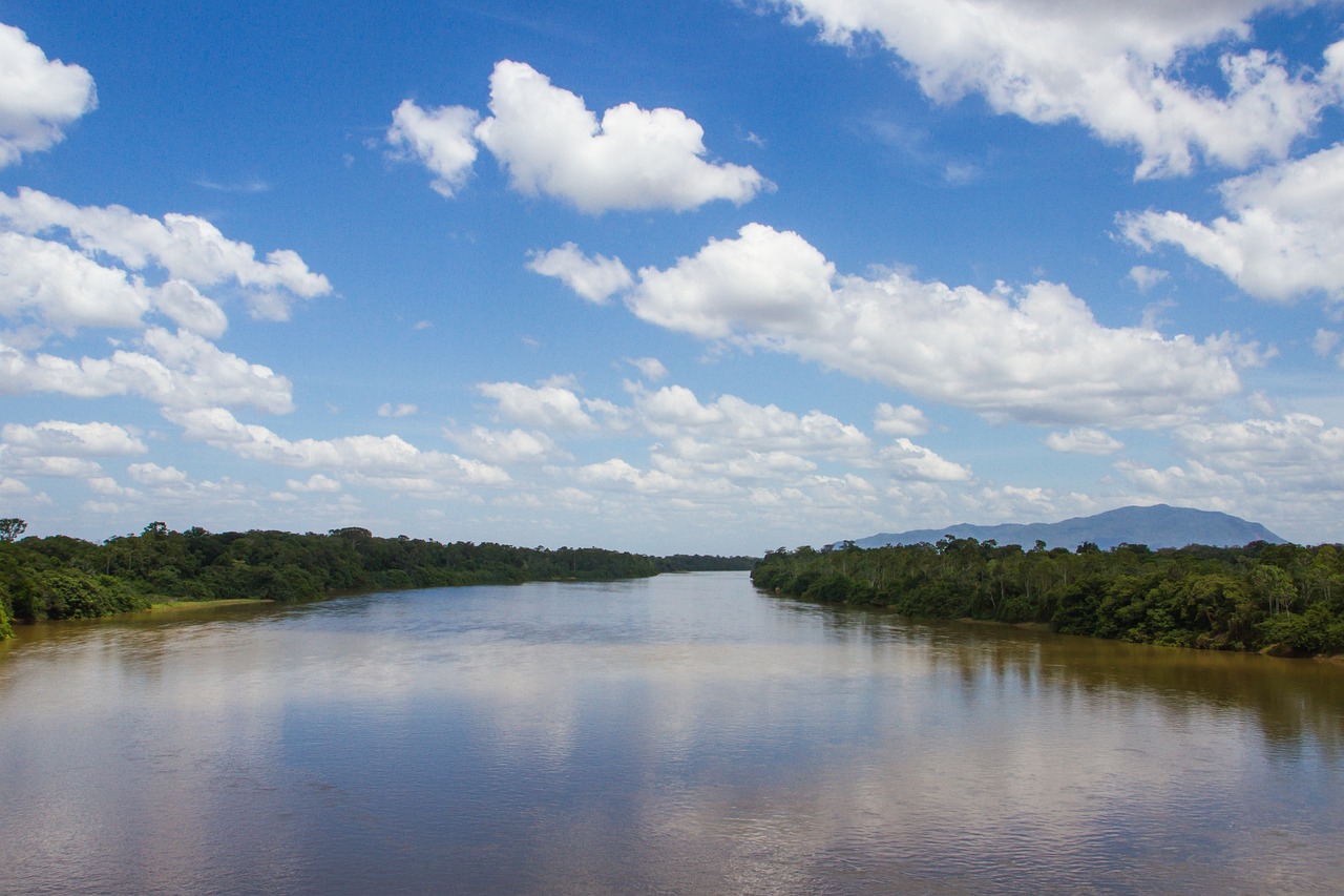 ¿Cómo el Río Amazonas, el más grande del mundo, está secándose?
