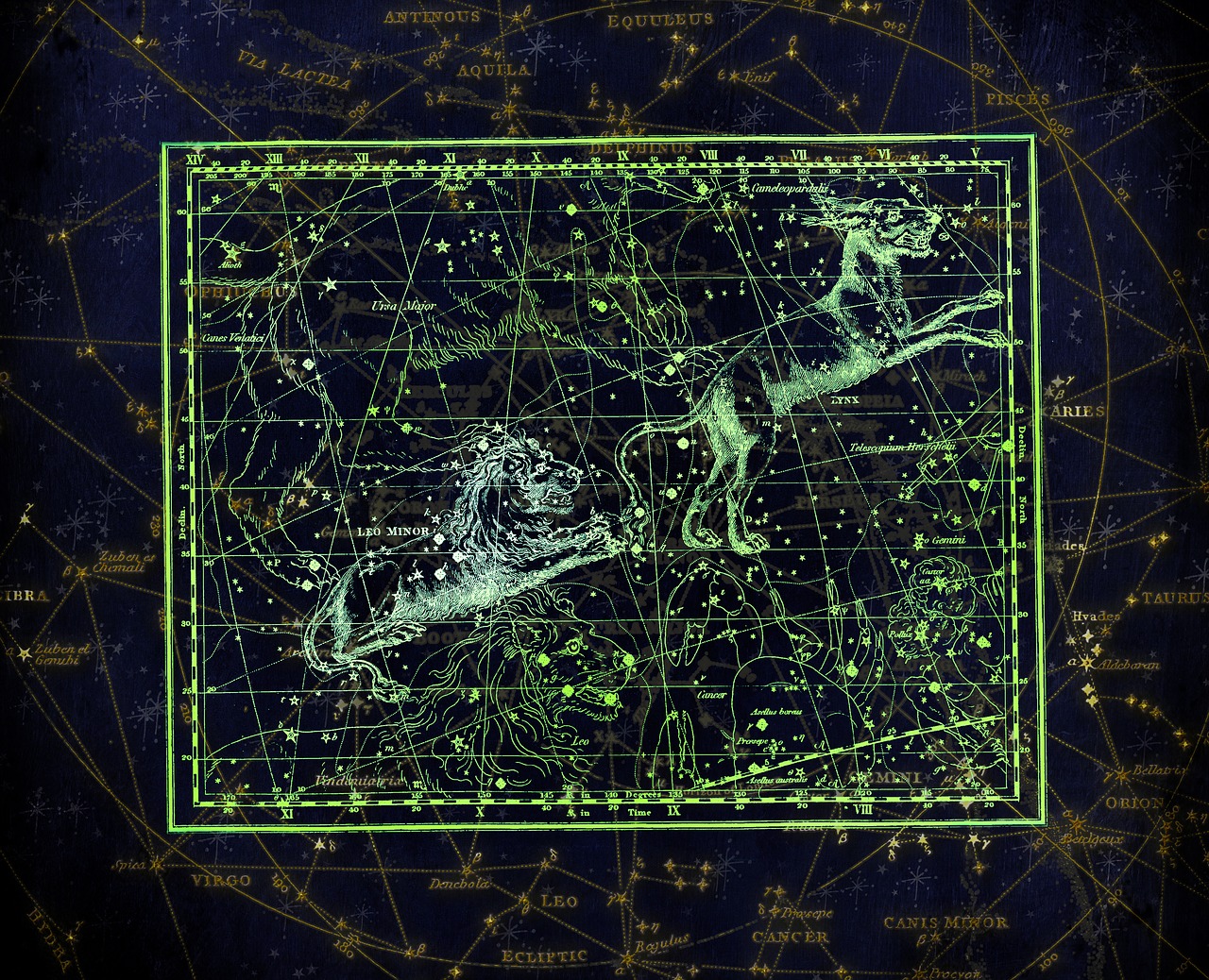 ¿Cuáles son las Estrellas que forman la Constelación de Leo?