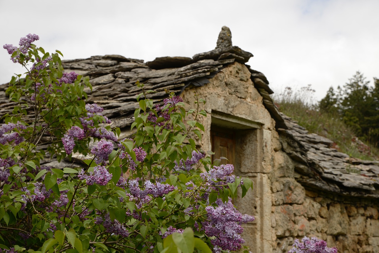 Explorando el misterioso Cevennes: ¿Dónde se encuentra este lugar?
