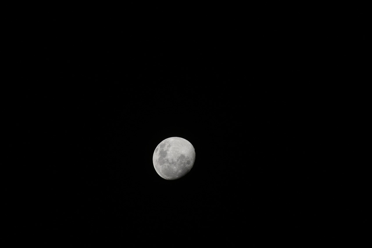 Luna Menguante en Noviembre: ¿Cuándo?