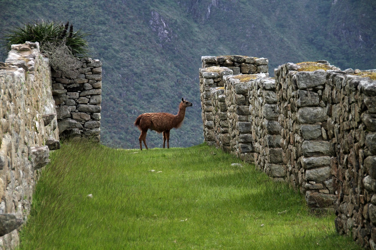 Los Templos Incas: Una Mirada a su Historia