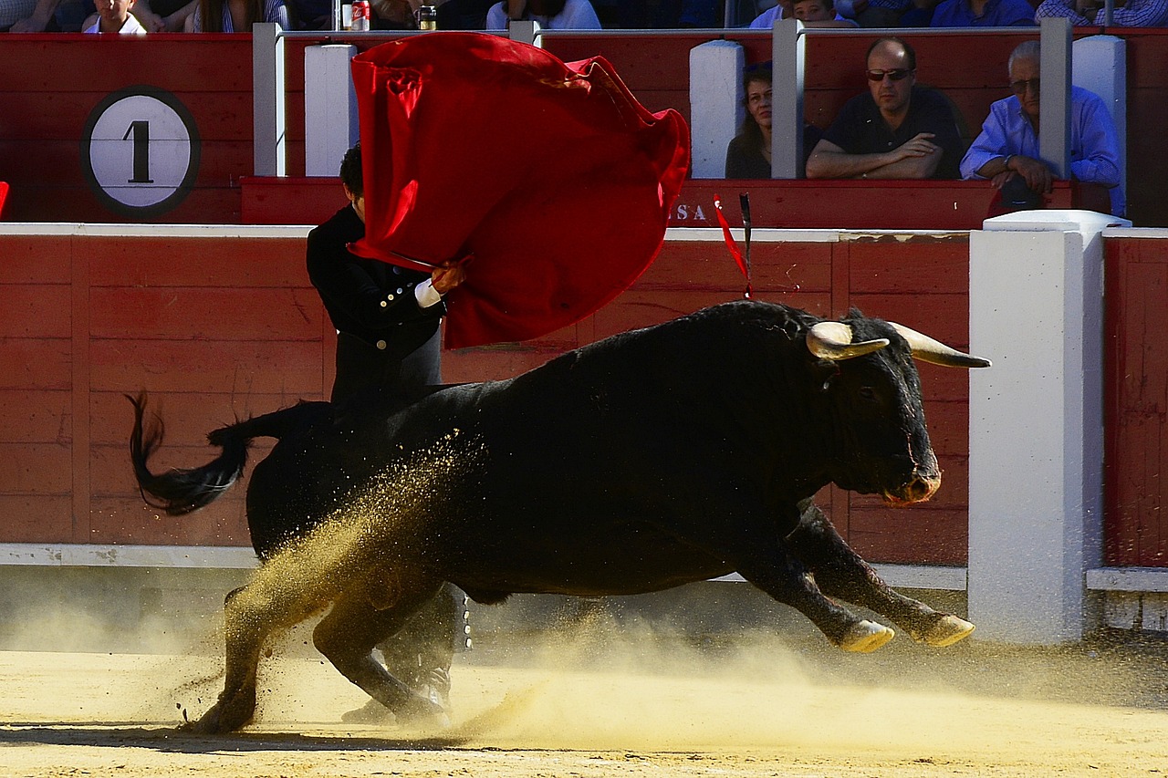 Descubriendo lo más famoso de Albacete