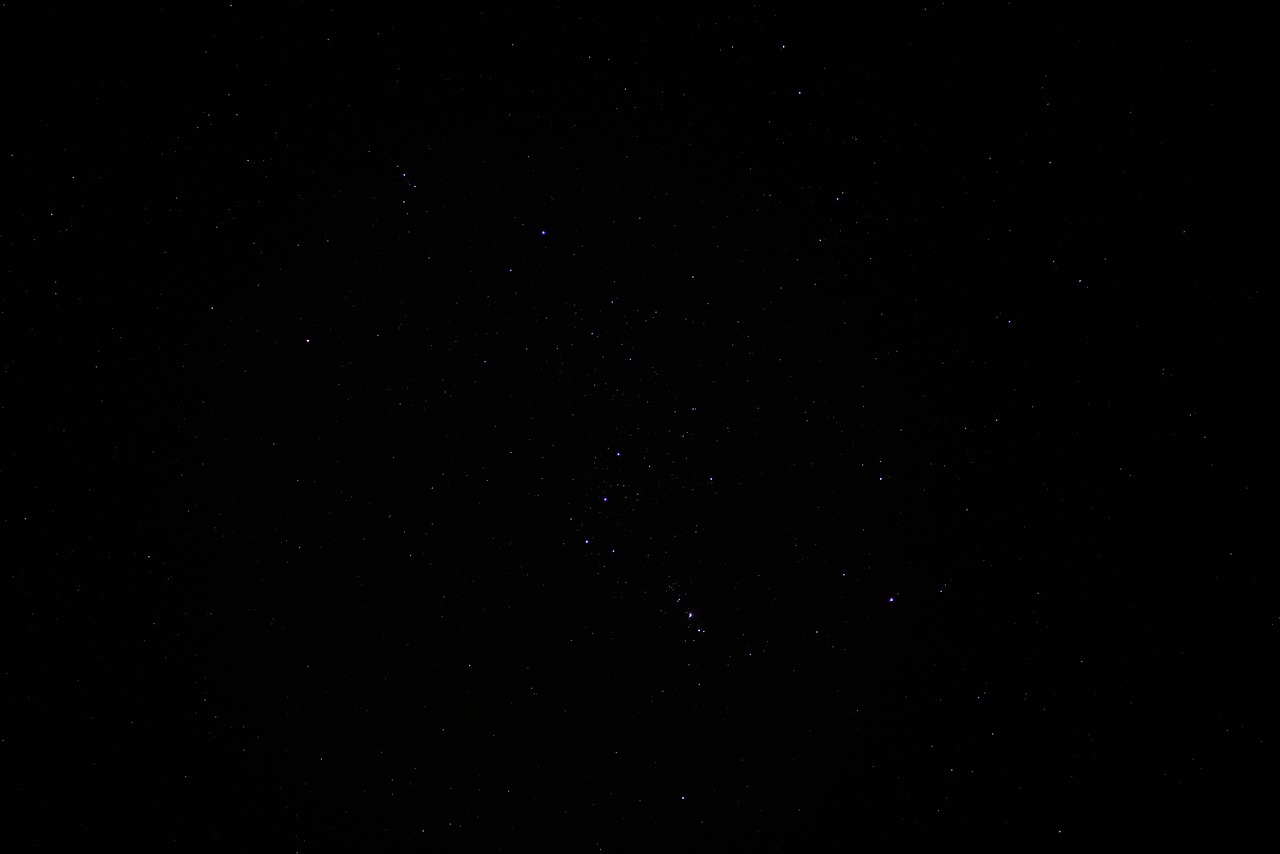 Descubriendo el Origen de la Estrella Rigel