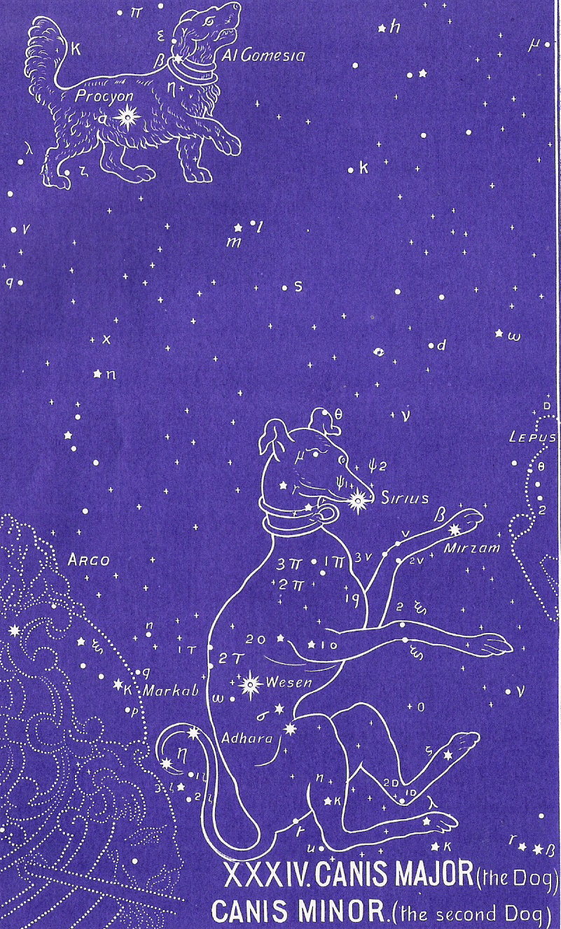 Canis major Constelaciones